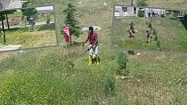 Ekipler ot biçiyor - haberi