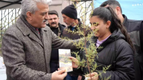 Fidan dağıtımı oldu - haberi