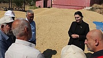 Hasat bilgisi aldı - haberi