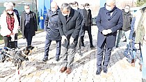 Hayvan dostu belediye - haberi