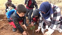 Öğrenciler fidan dikti - haberi