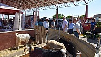 Pazar yerine ziyaret - haberi