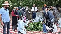 Salatalık hibe etti - haberi