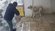Sokağa yem bırakıldı - haberi